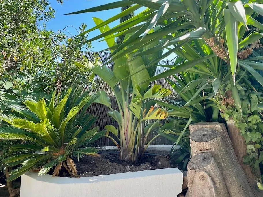 アパート 61 Boulouris Villa Saint-Raphaël